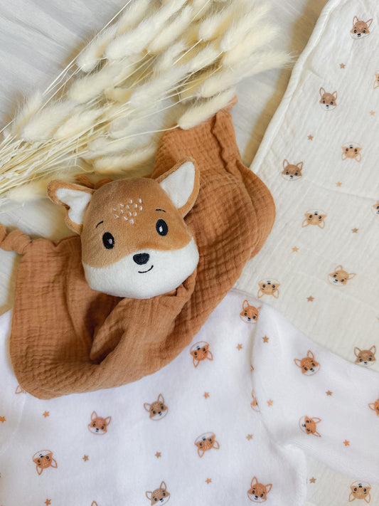Collection bébé renard 🦊