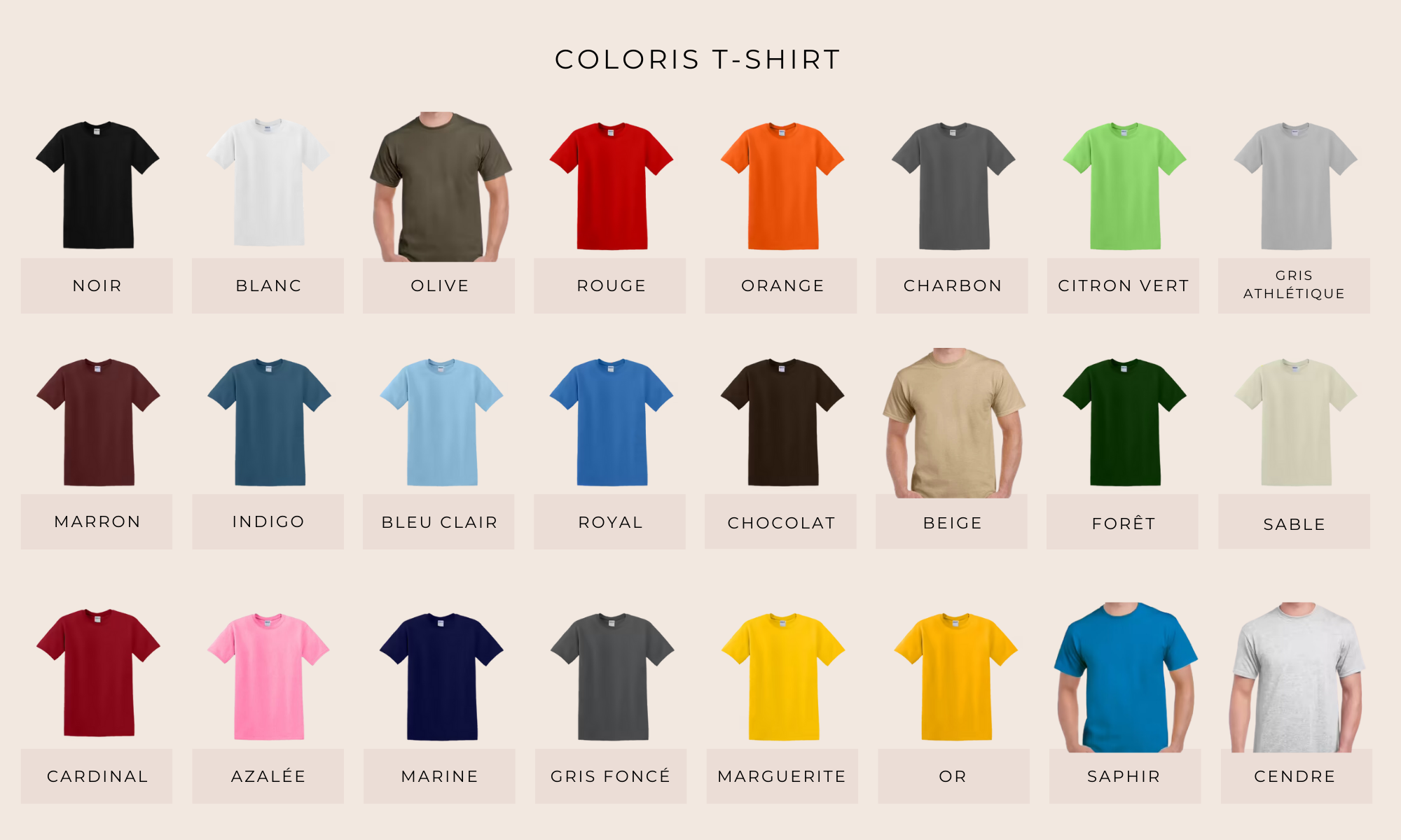 files/tshirt.png